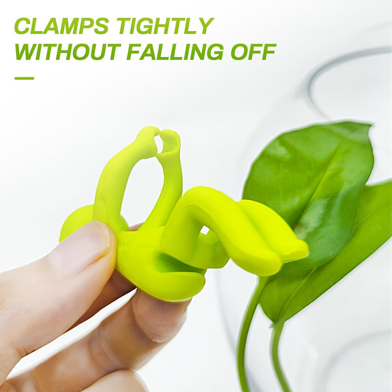Hydroponic Plant Fixing Figuri - Home Office Layout ulasan dan harga