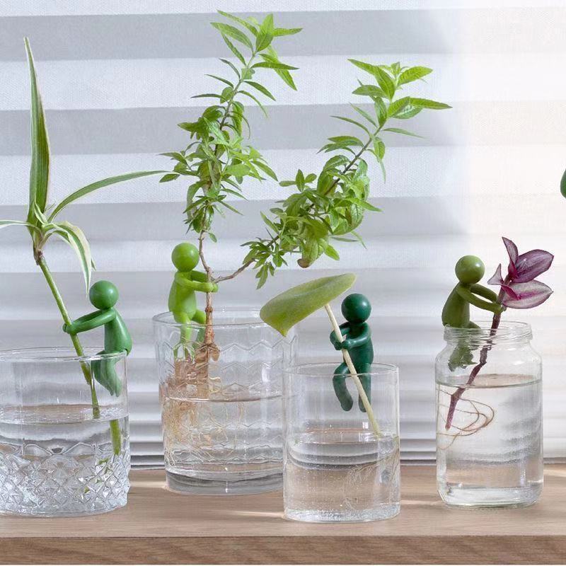 Hydroponic Plant Fixing Figuri - Home Office Layout ulasan dan harga