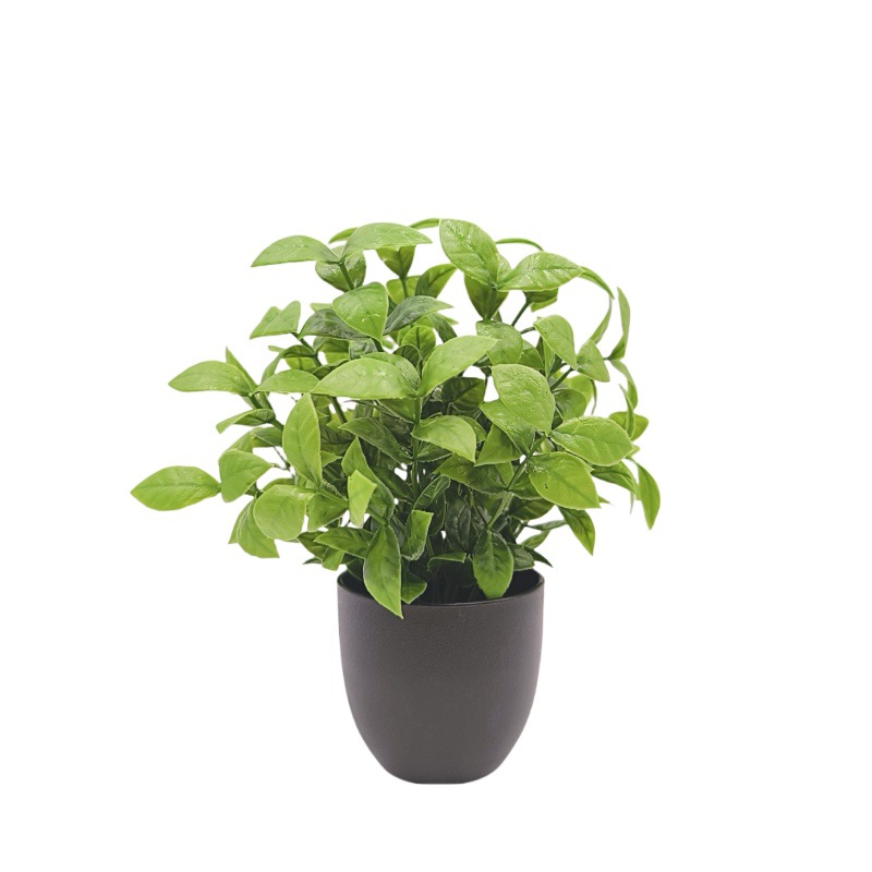 Simulation Green Plant Bonsai  - Home Office Layout ulasan dan harga